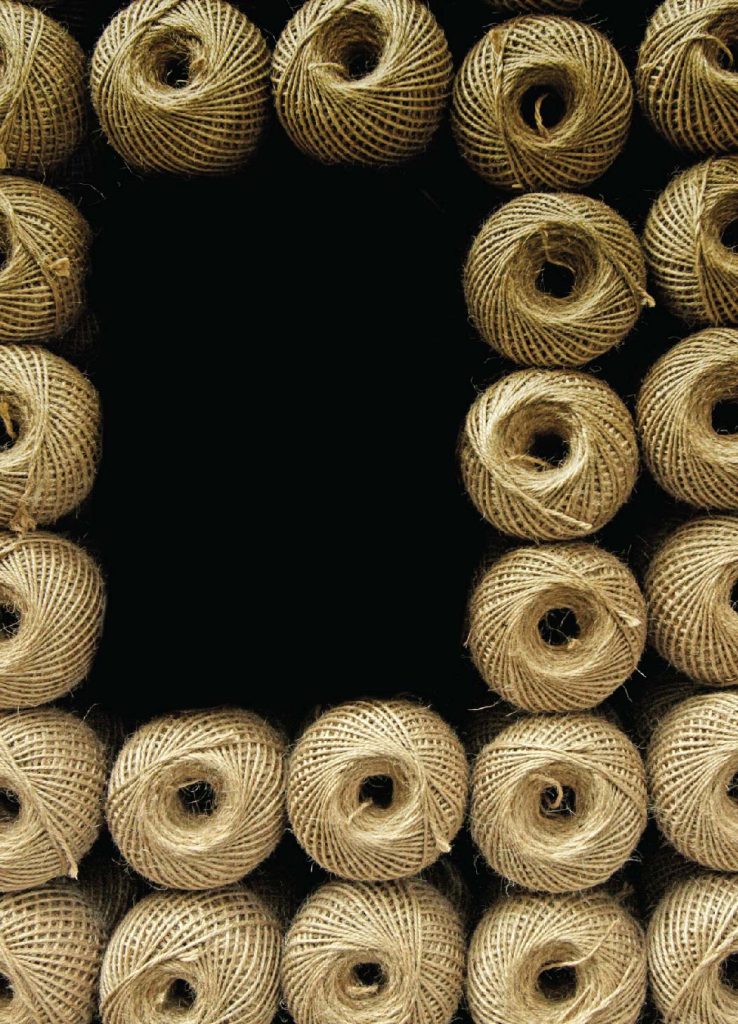 Jute-04